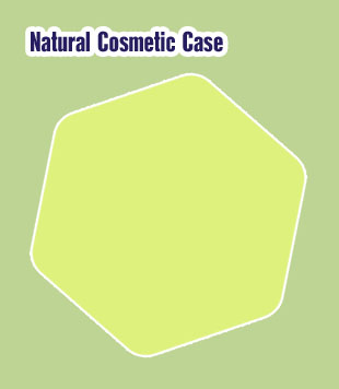 Cosmetic luggage